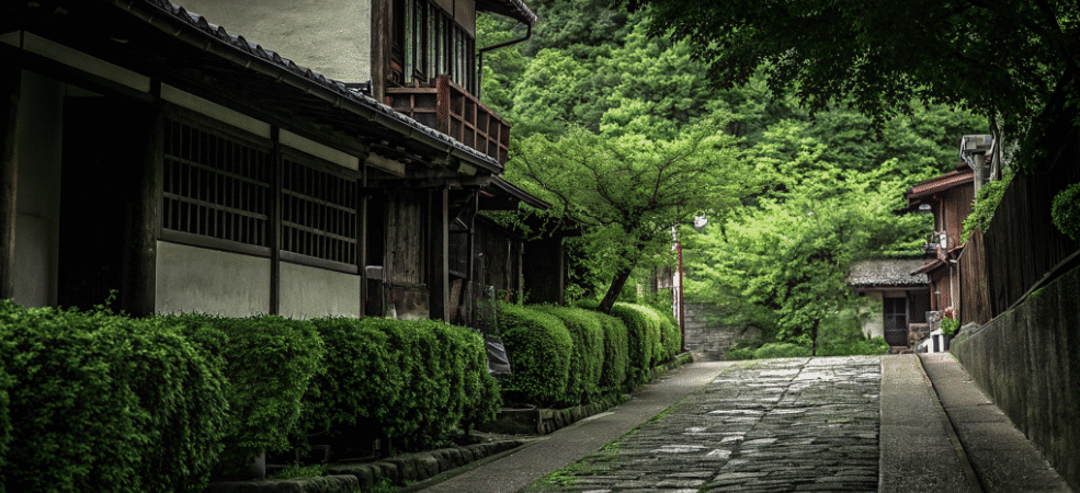 Japan Street - Japanes Knives Tips A photograph capturing a traditional Japanese setting, showcasing a serene and picturesque view of a Japanese residential area with a focus on the architectural and natural elements.
