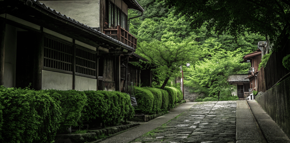 Crafting Excellence: Takefu Knife Village, The Best of Japan